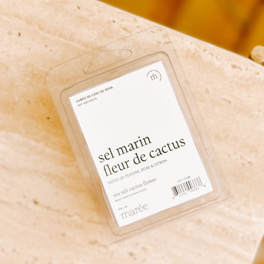 Pastilles de cire pour diffuseur - Sel marin fleur de cactus