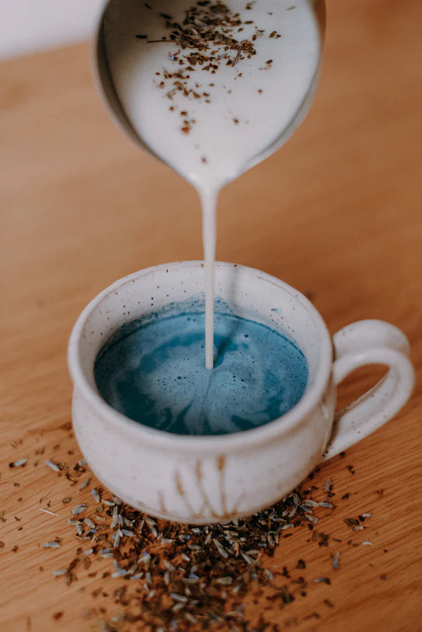 Latté nocturne bleu - Lavande et Basilic sacré
