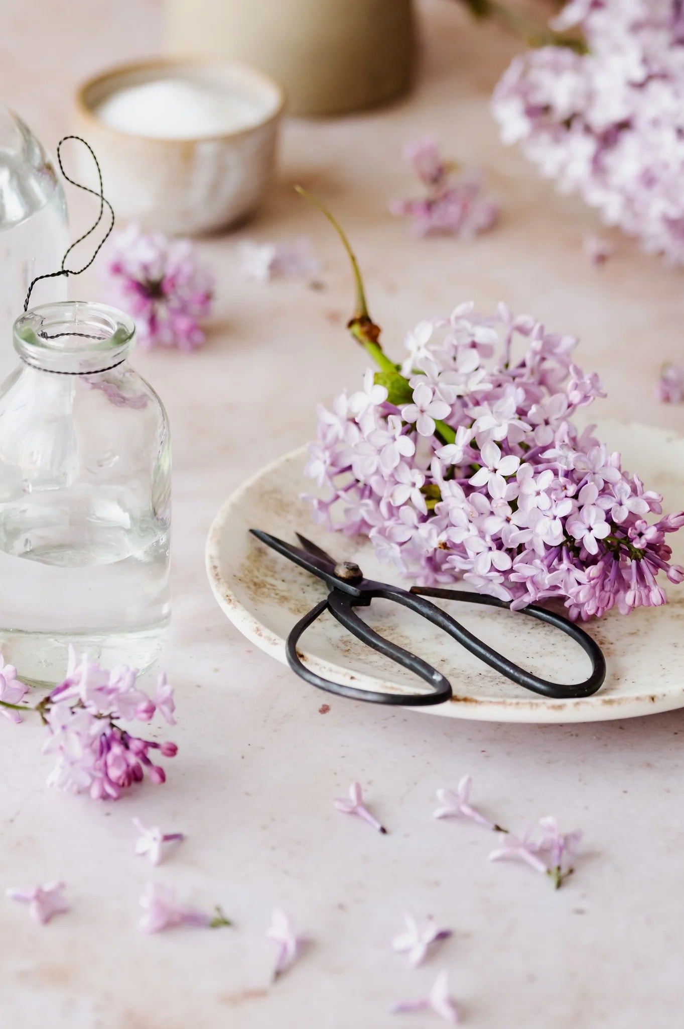 Gelée de lilas