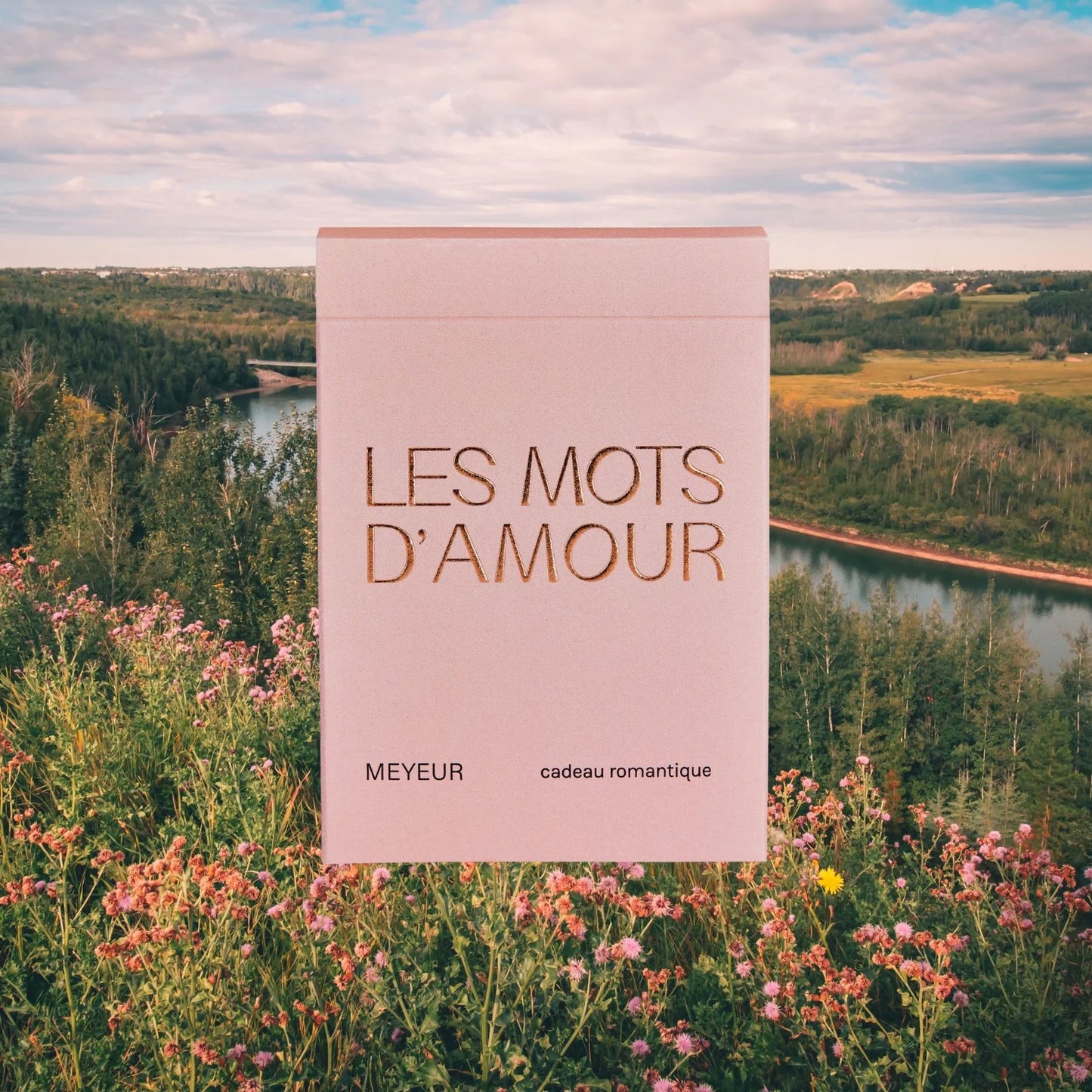 Jeu de conversation - LES MOTS D'AMOUR