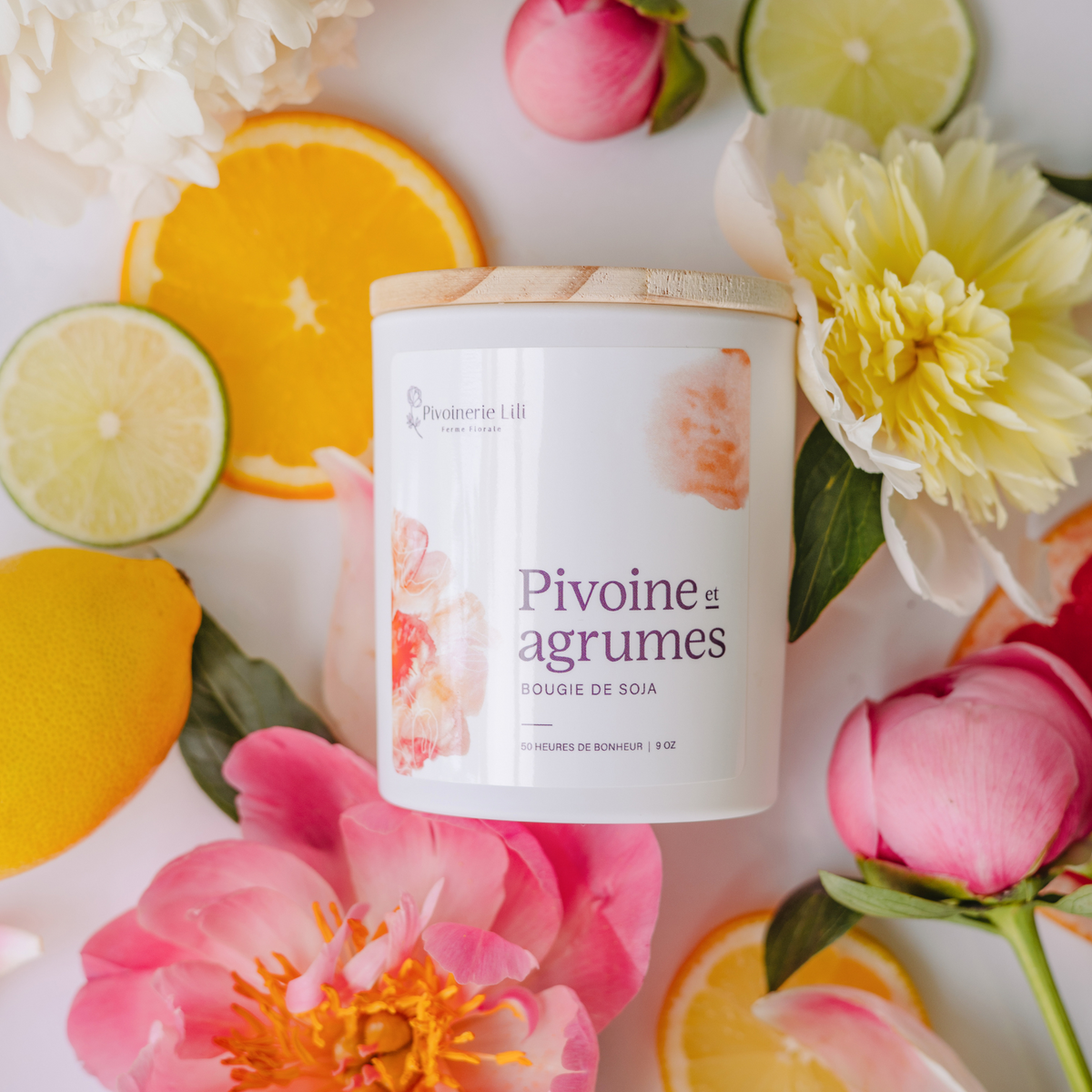 Chandelle de soya - Pivoine et agrume