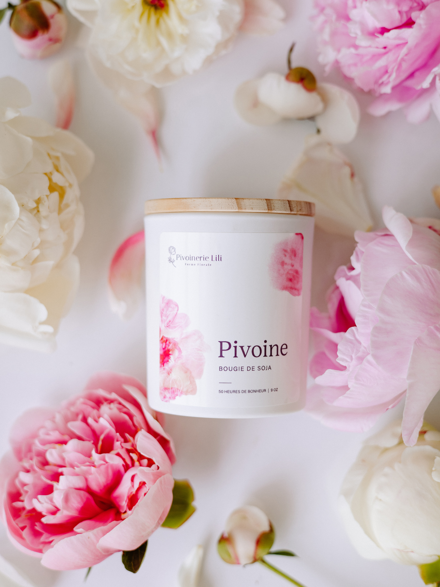 Chandelle de soya - Pivoine