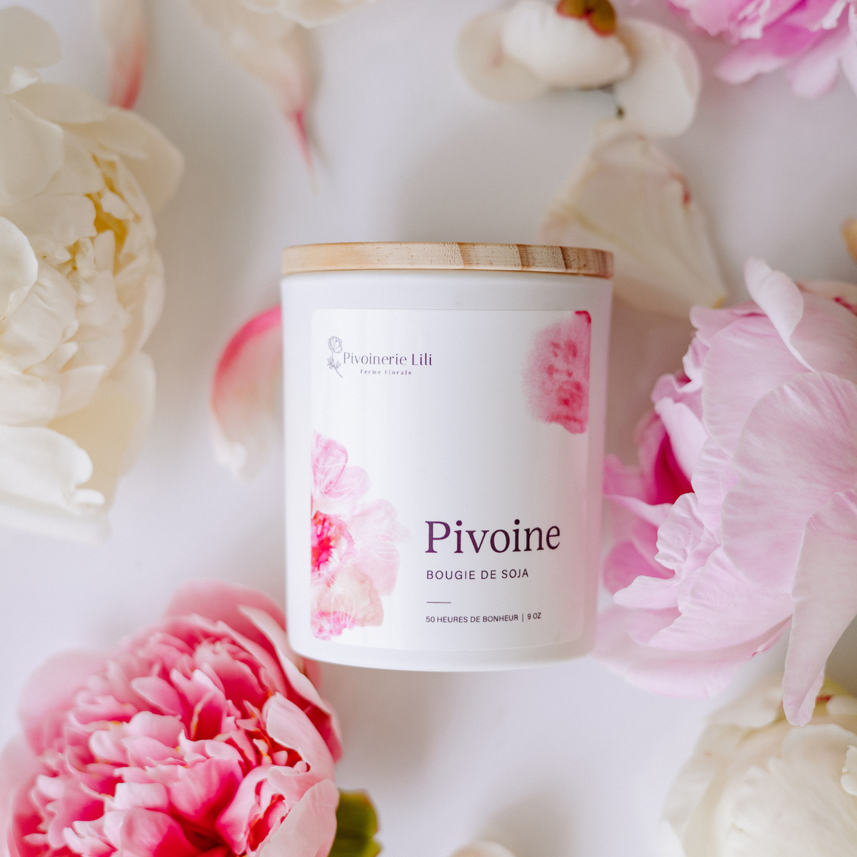 Chandelle de soya - Pivoine