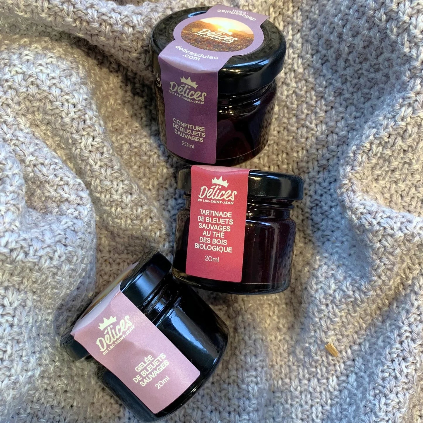 Mini Trio découverte