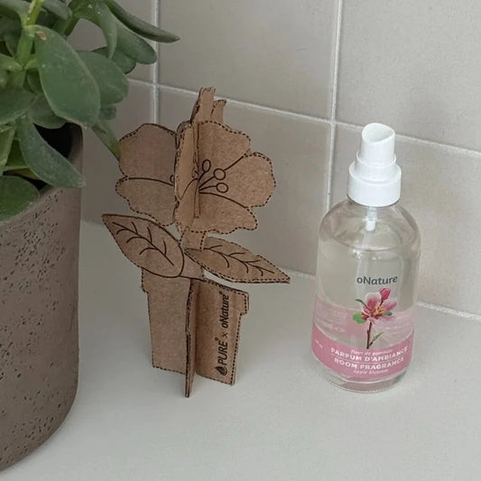 Coffret PURE - Fleur de pommier