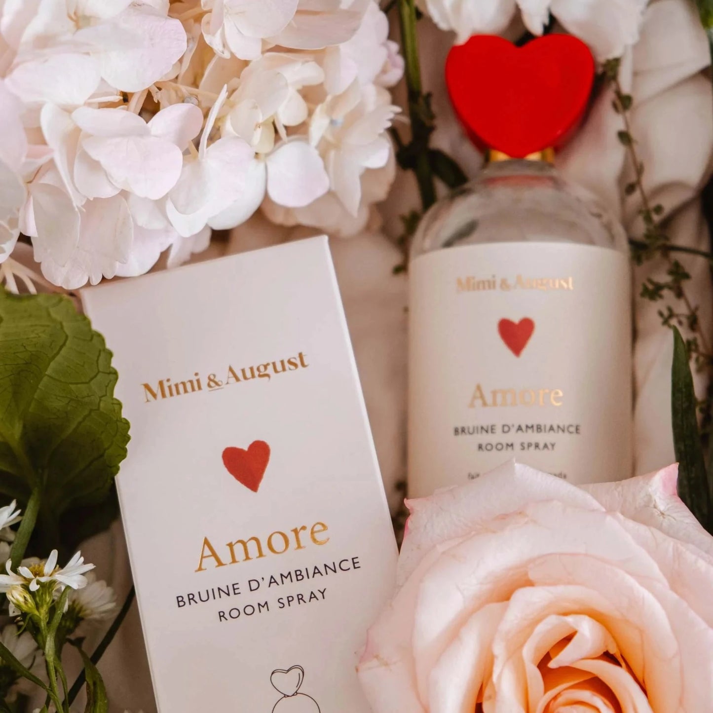 Bruine d'ambiance - Amore