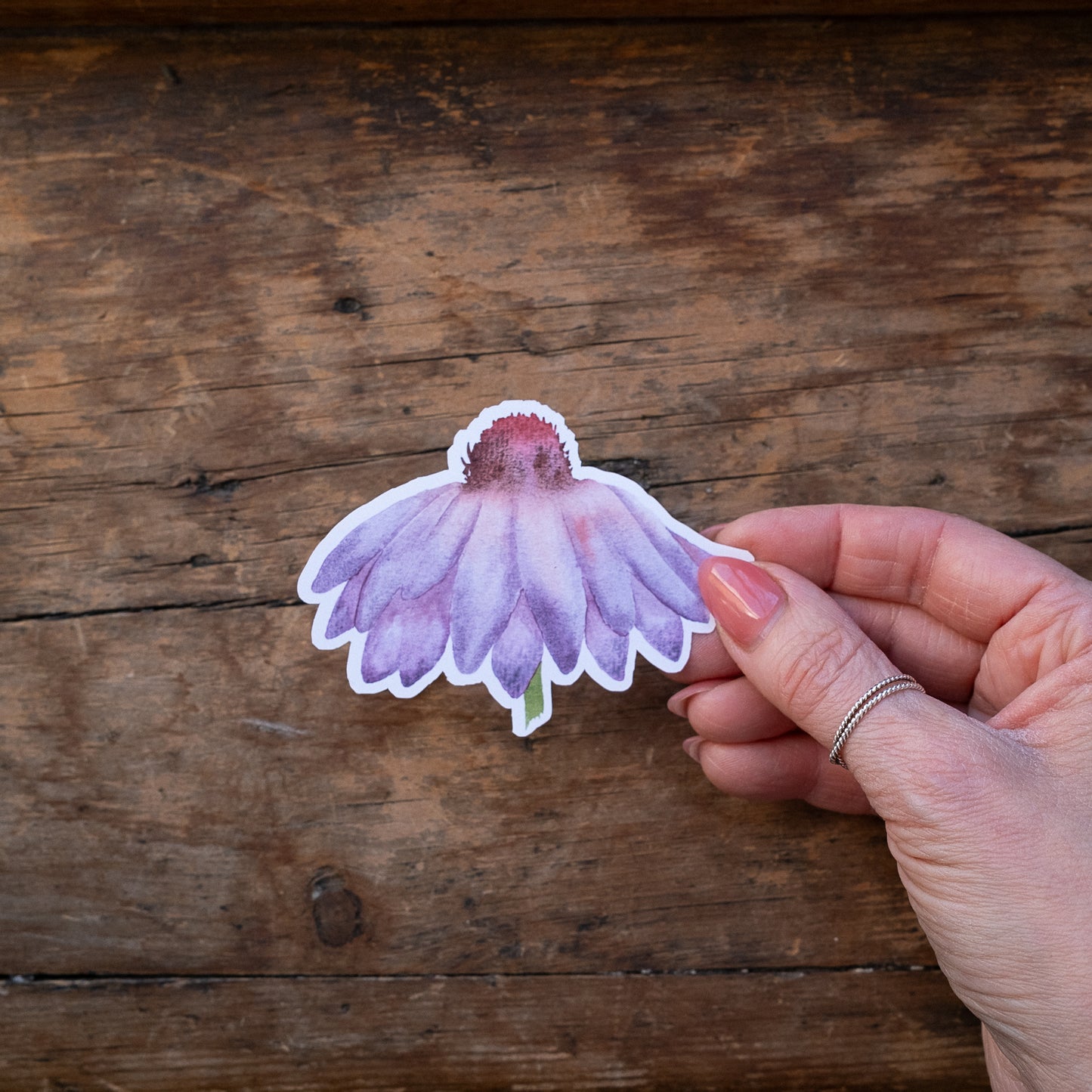 Autocollant vinyle - Fleur d'échinacée