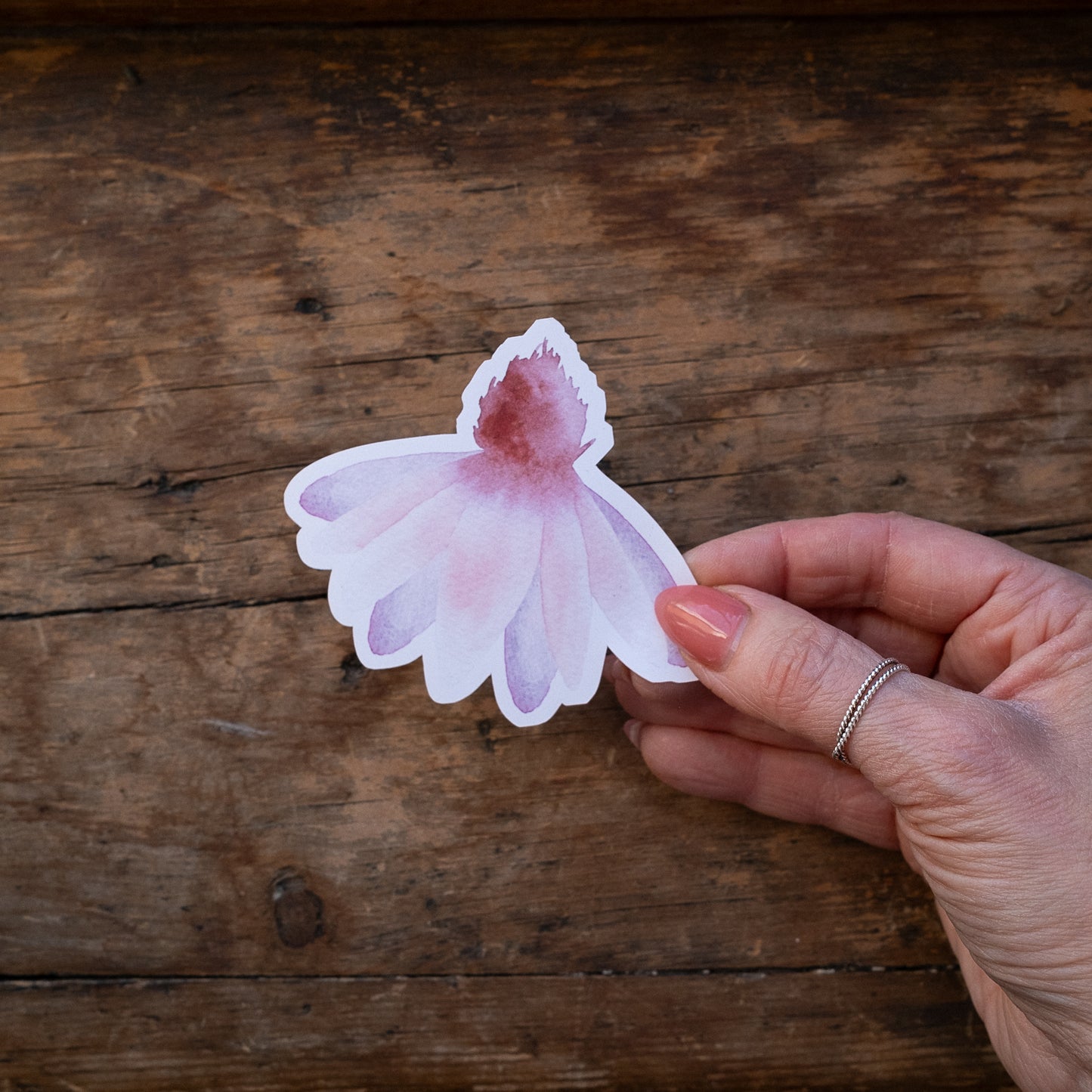 Autocollant vinyle - Échinacée diaphane