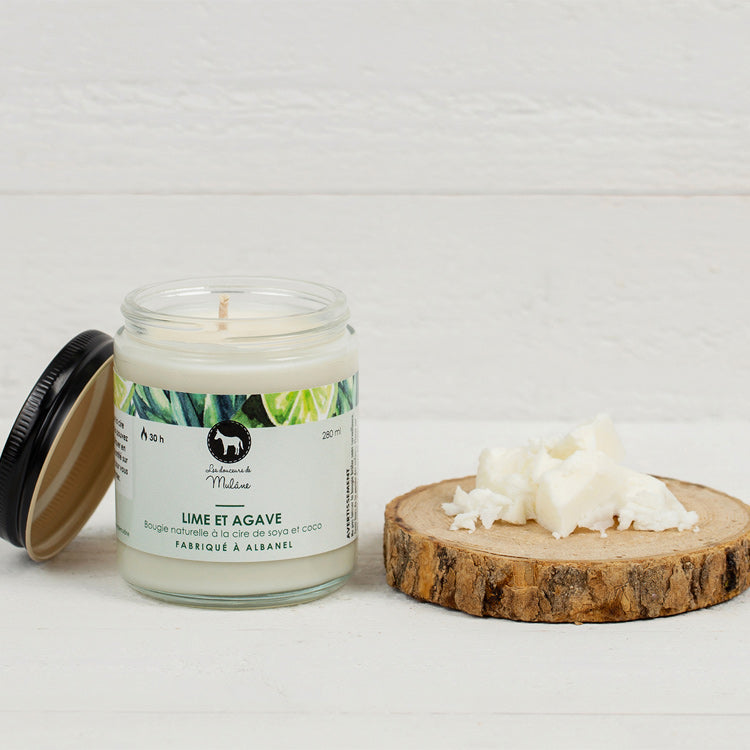 Chandelle - Lime & agave