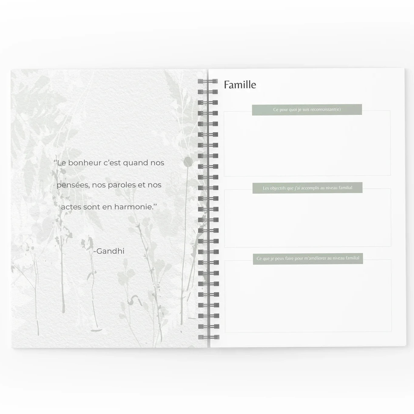 Mon journal de gratitude