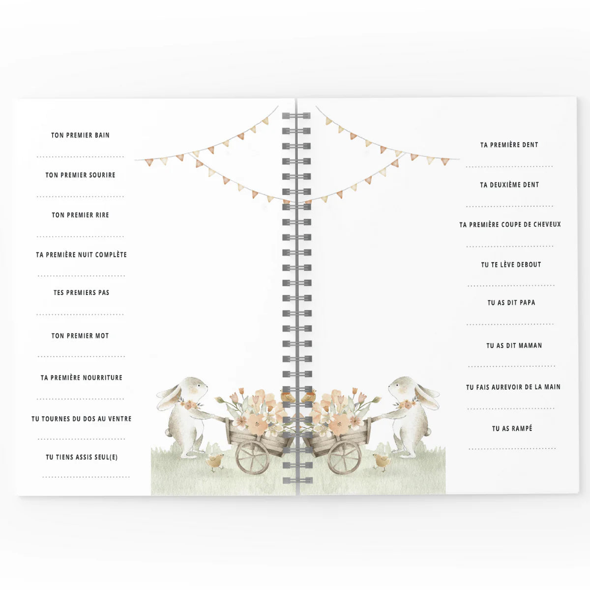 Mon journal de Bébé - Lapins fleuris