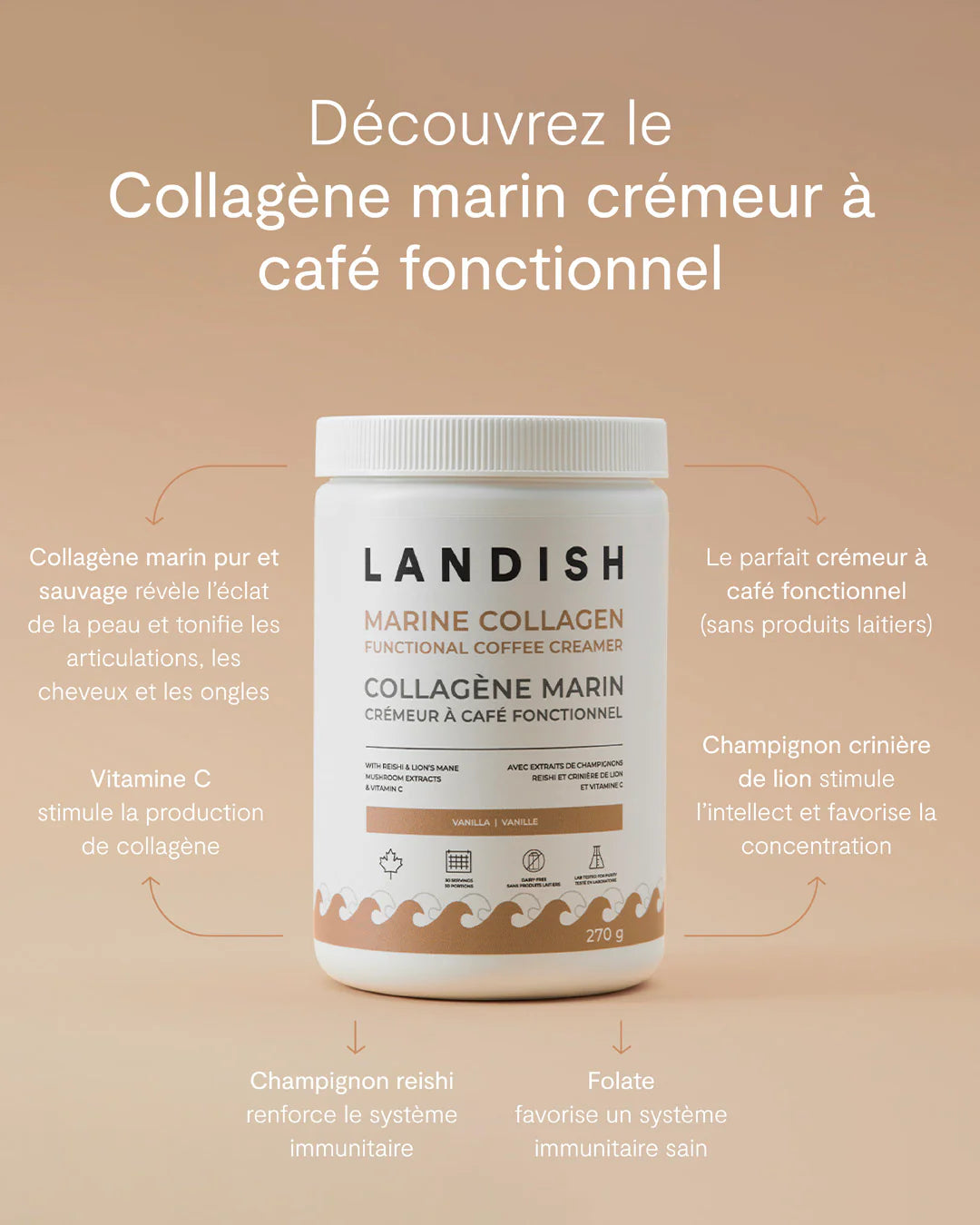 Collagène marin - Crémeur à café
