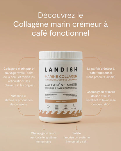 Collagène marin - Crémeur à café
