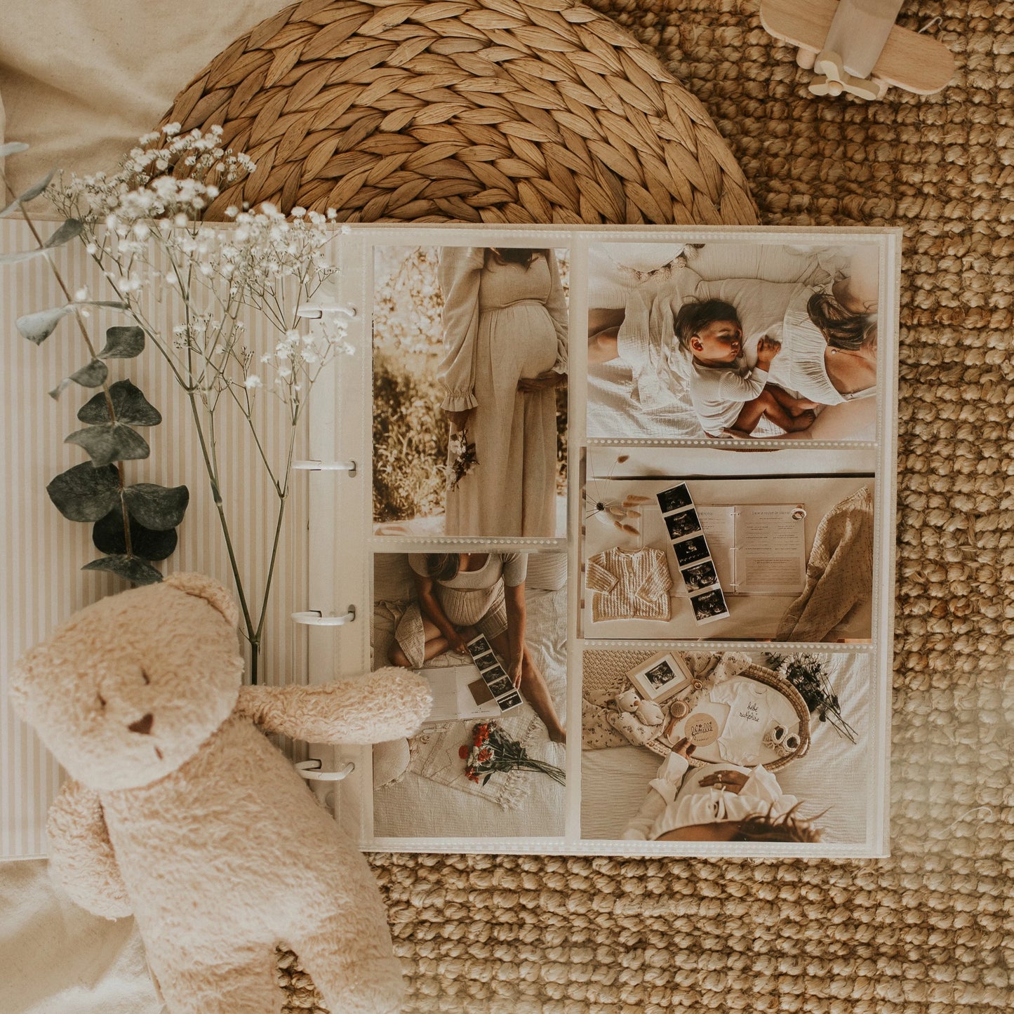 Album photo - Ligné sauge