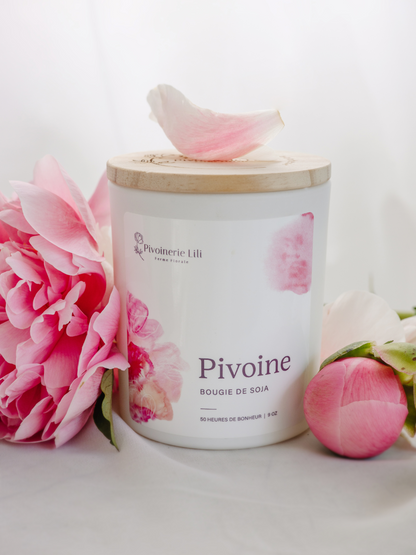 Chandelle de soya - Pivoine