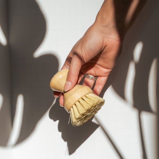 Brosse à vaisselle avec pommeau