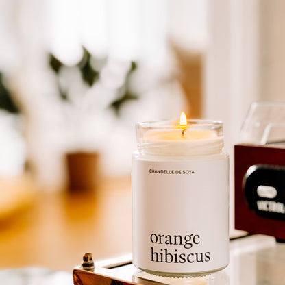 Chandelle Orange hibiscus