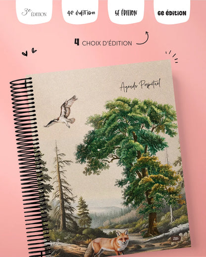 Agenda non daté - Alma 3e édition