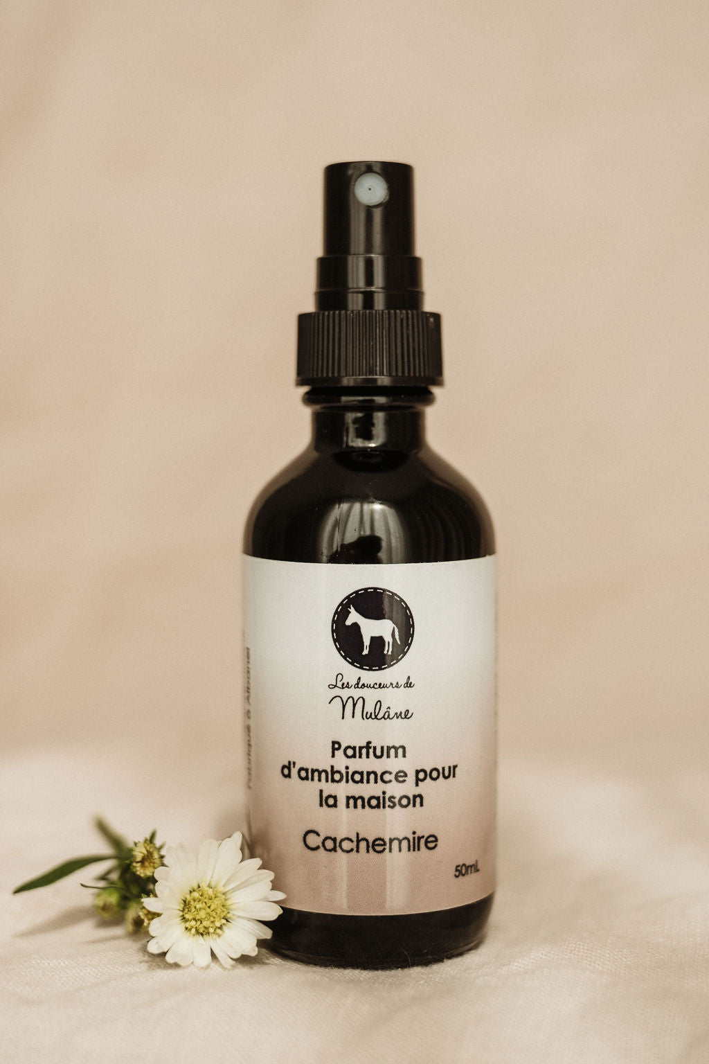 Parfum d'ambiance - Cachemire