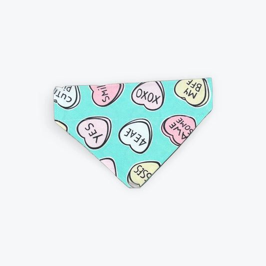 Foulard pour animaux - Coup de coeur