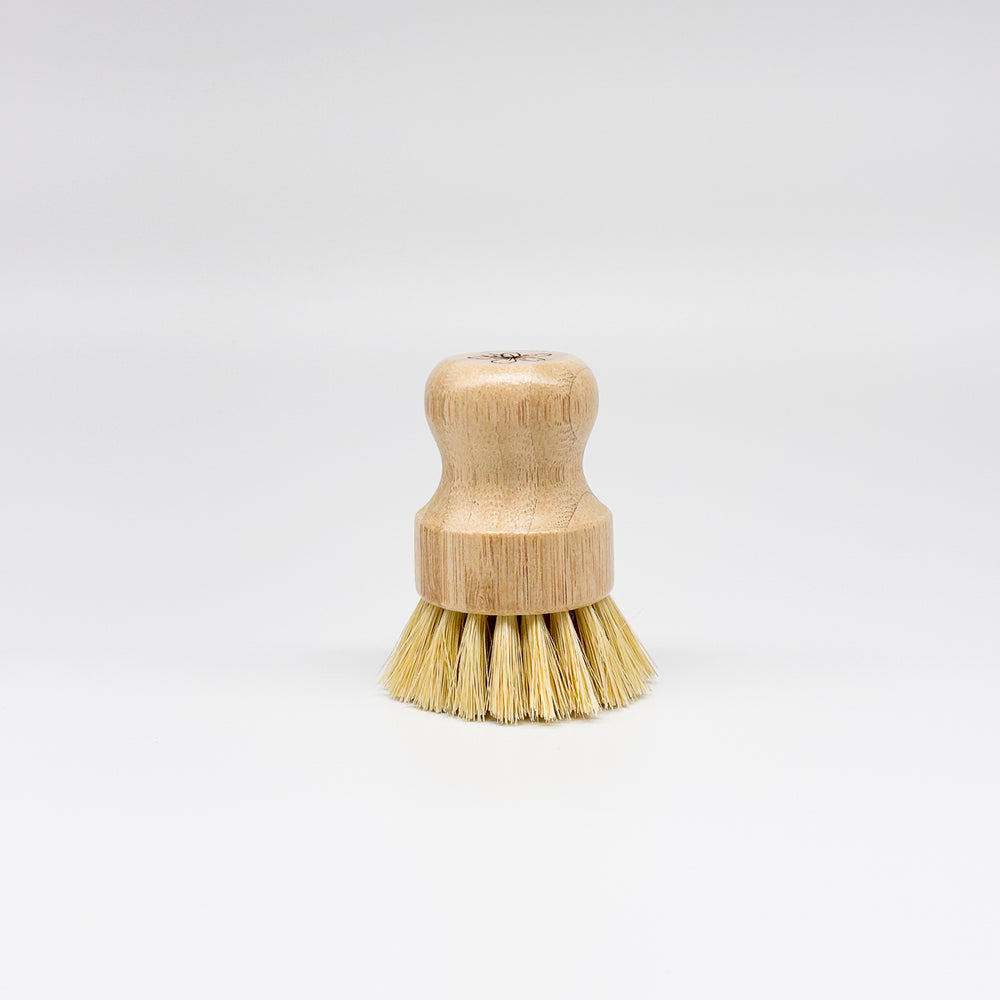 Brosse à vaisselle avec pommeau
