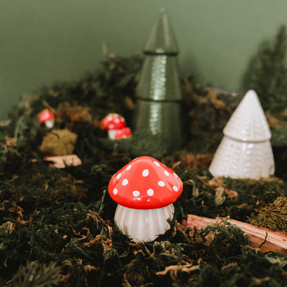 Chandelle - Le champignon