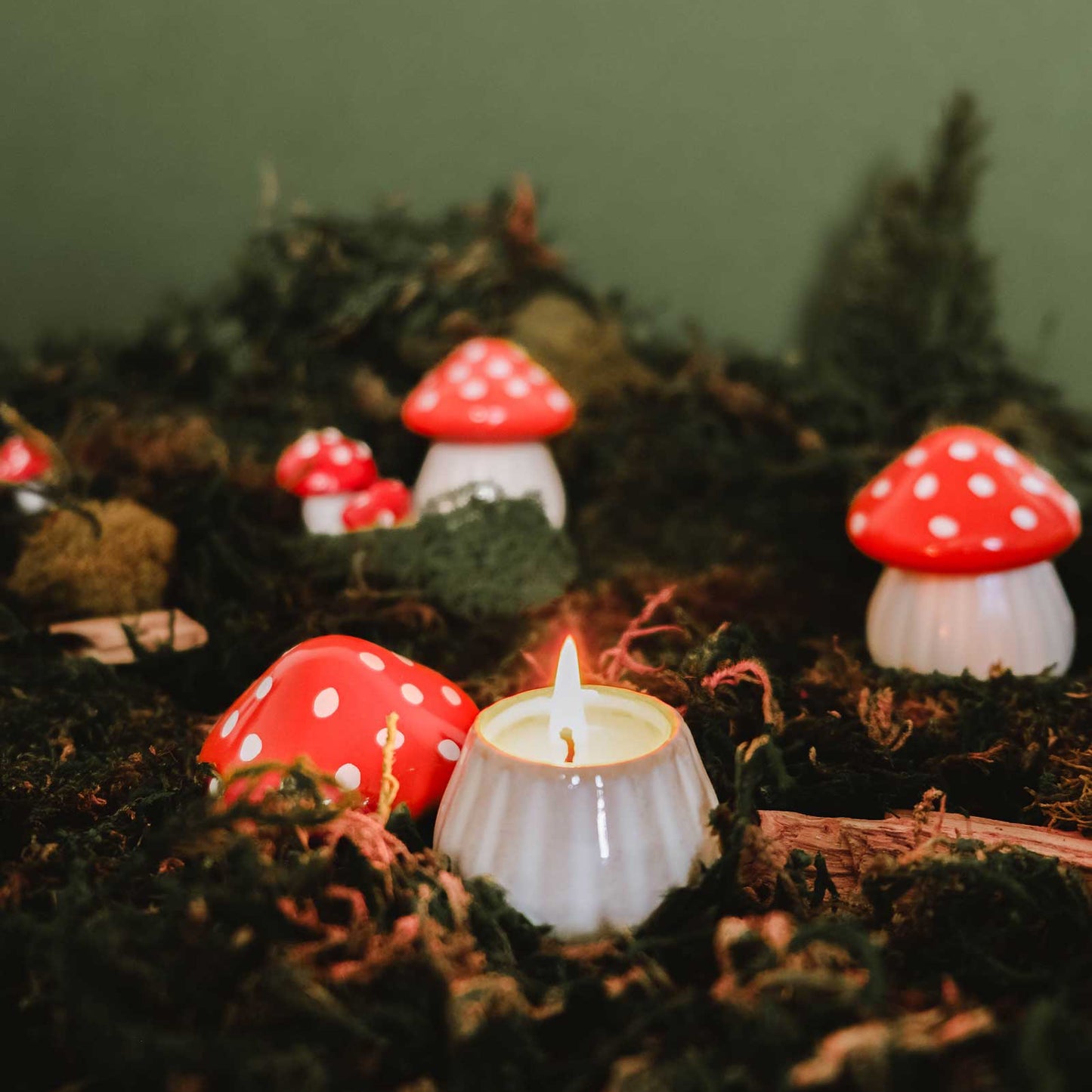 Chandelle - Le champignon