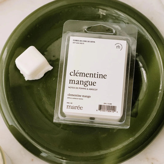 Pastilles de cire pour diffuseur - Clémentine mangue