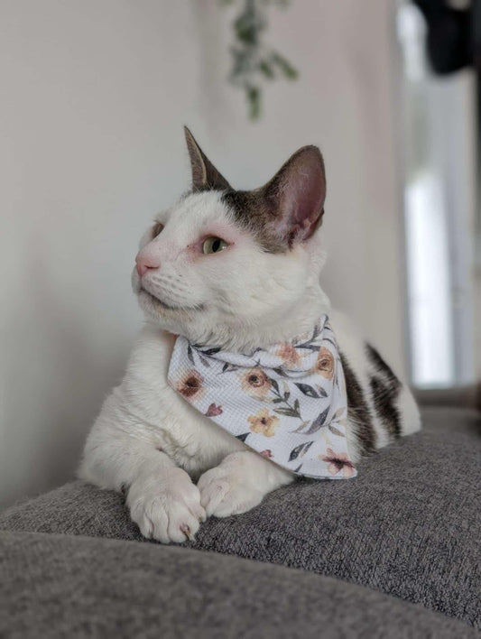 Foulard pour animaux - Bohème