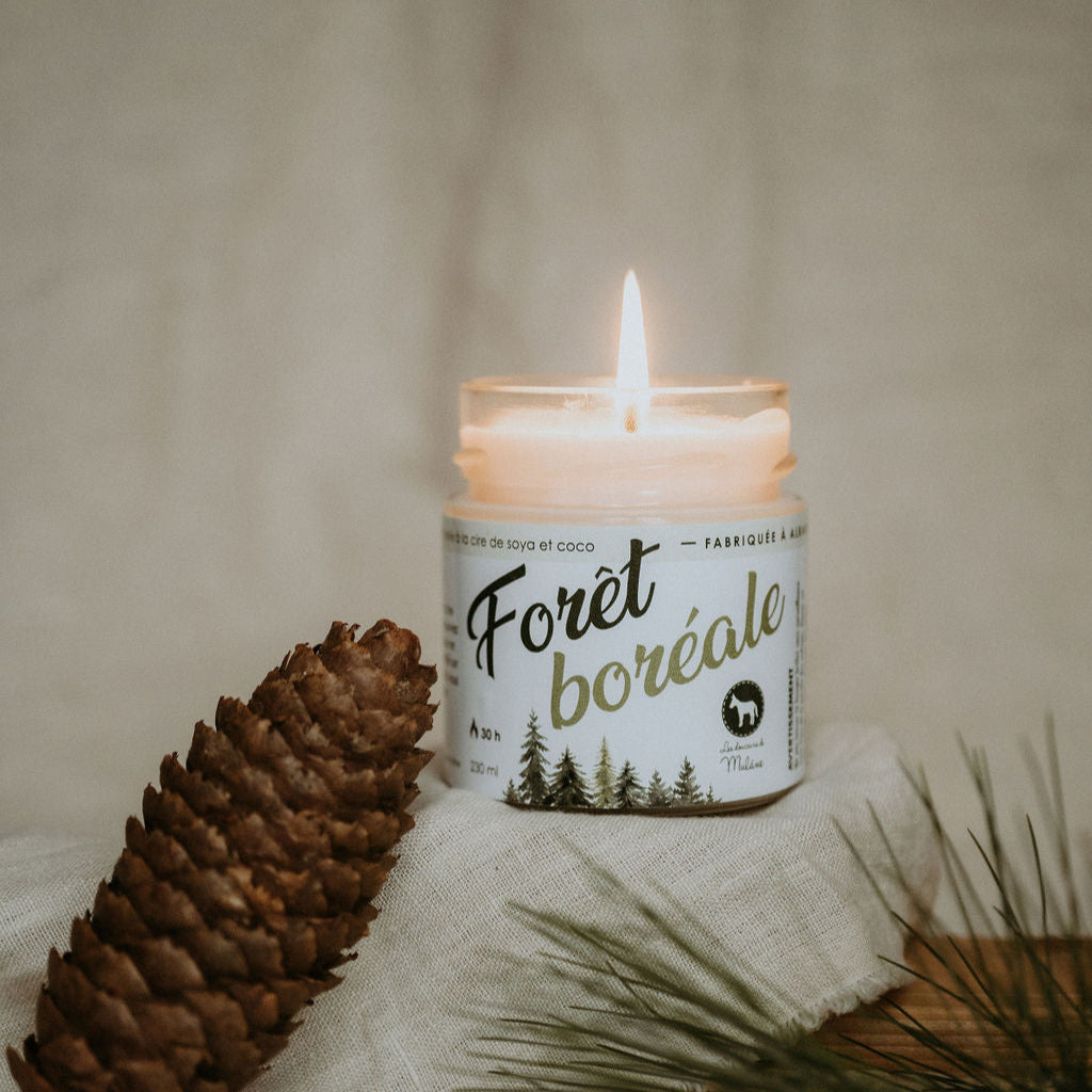 Chandelle - Forêt boréale