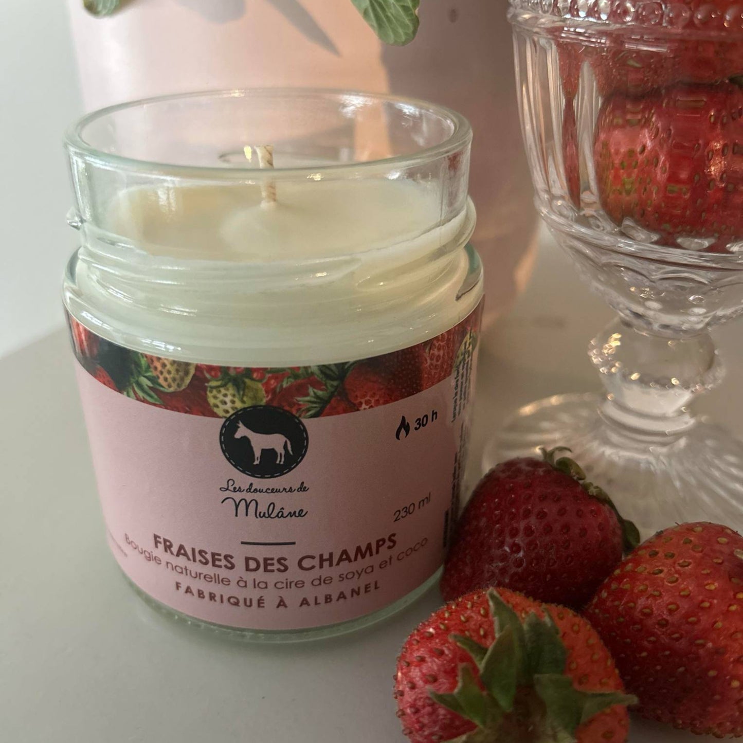 Chandelle - Fraises des champs
