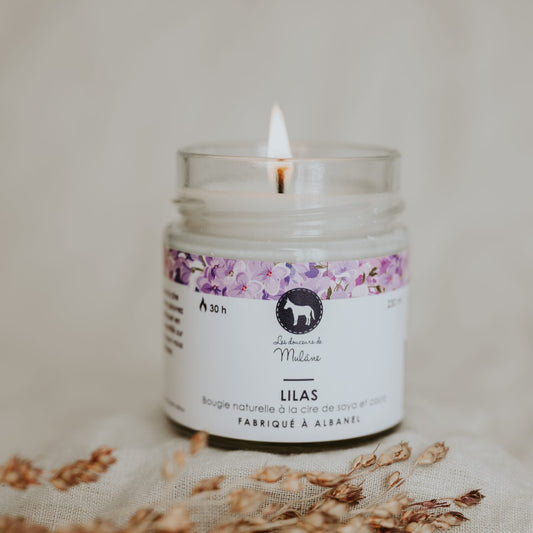 Chandelle - Lilas