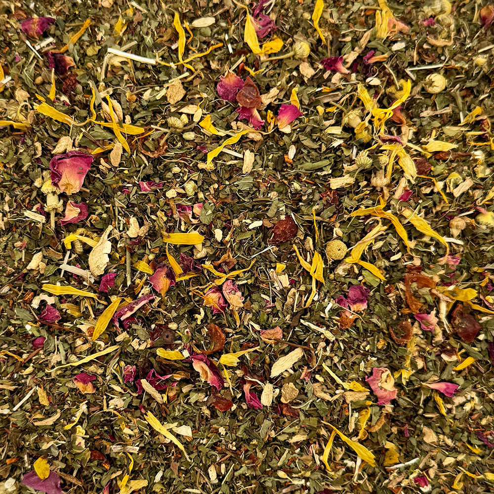 Camomille en fleurs - Tisane