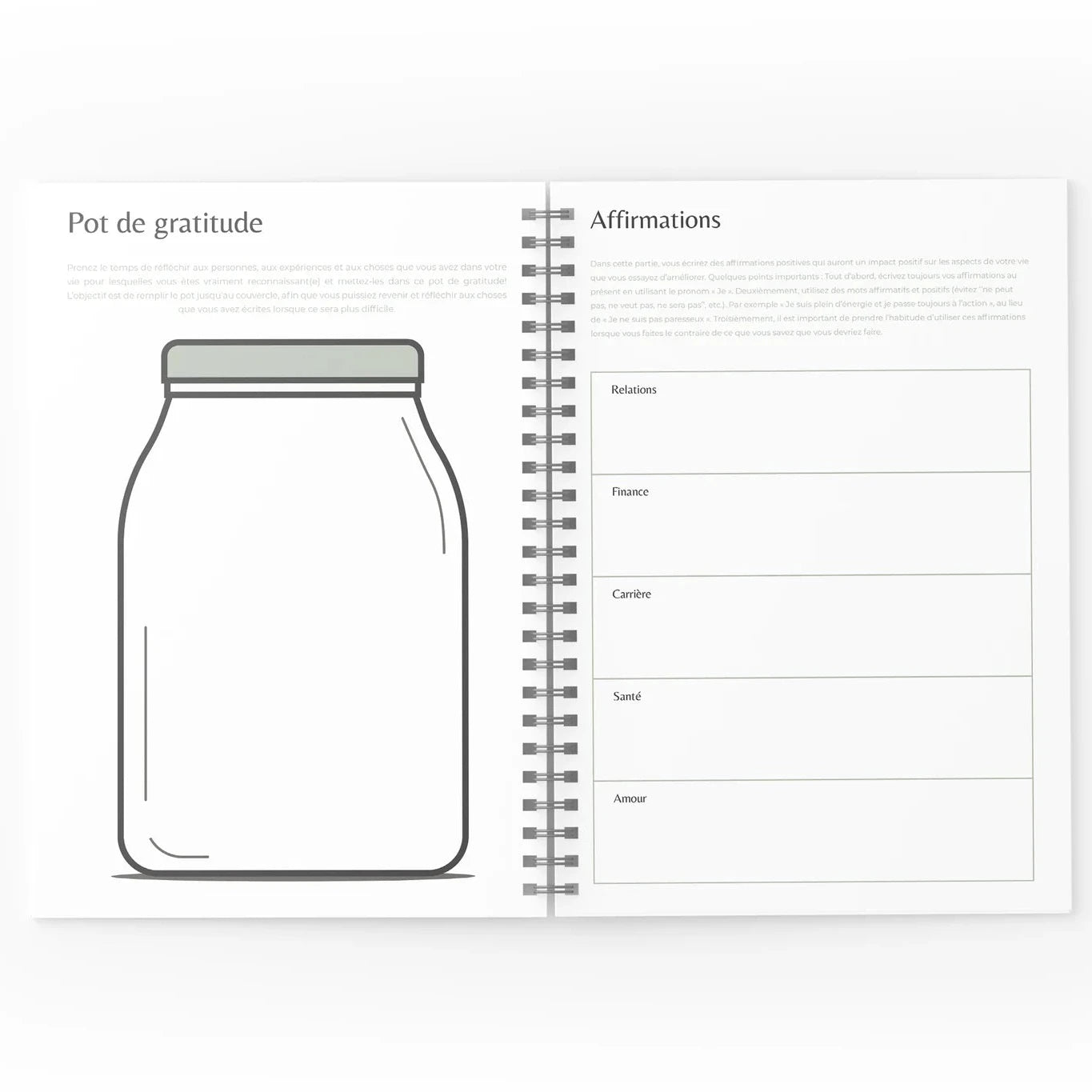 Mon journal de gratitude