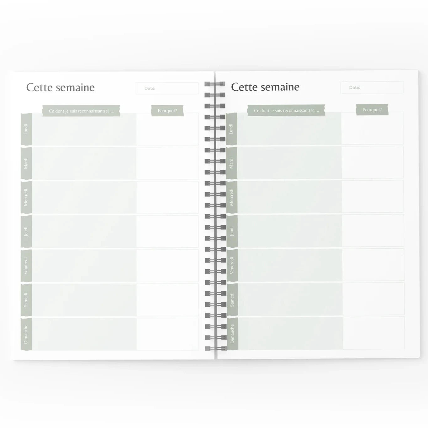 Mon journal de gratitude