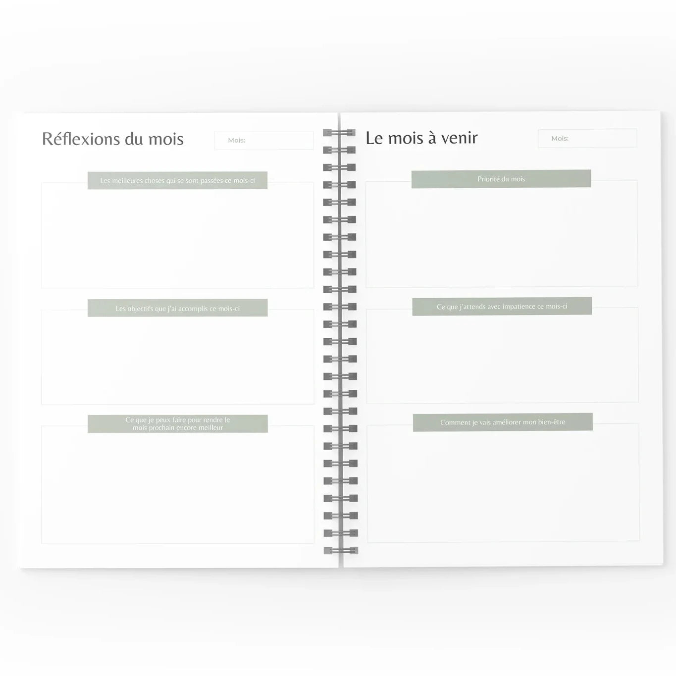 Mon journal de gratitude