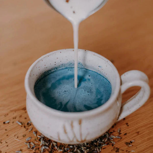 Latté nocturne bleu - Lavande et Basilic sacré
