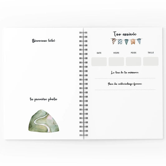 Mon journal de Bébé - Dragons