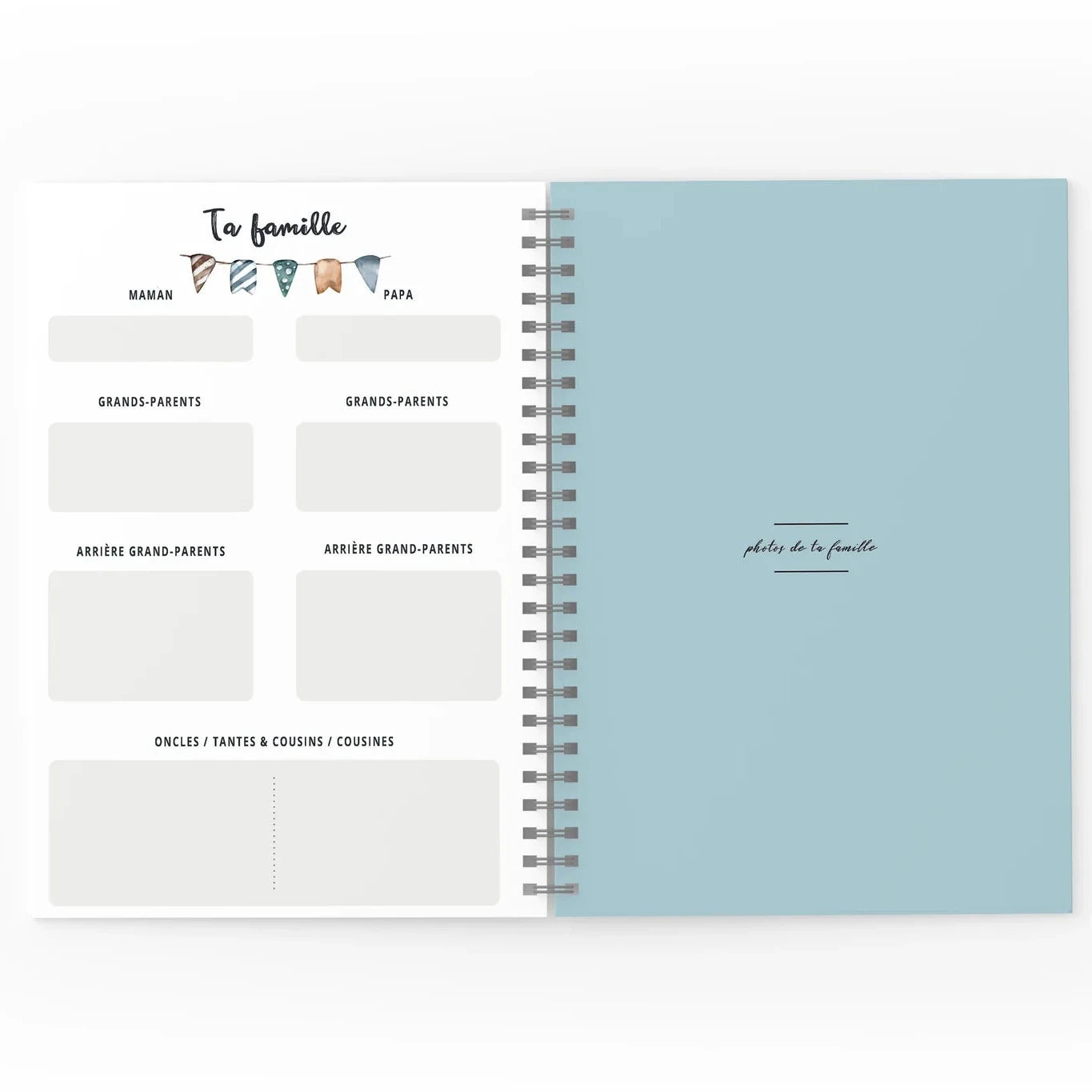 Mon journal de Bébé - Dragons