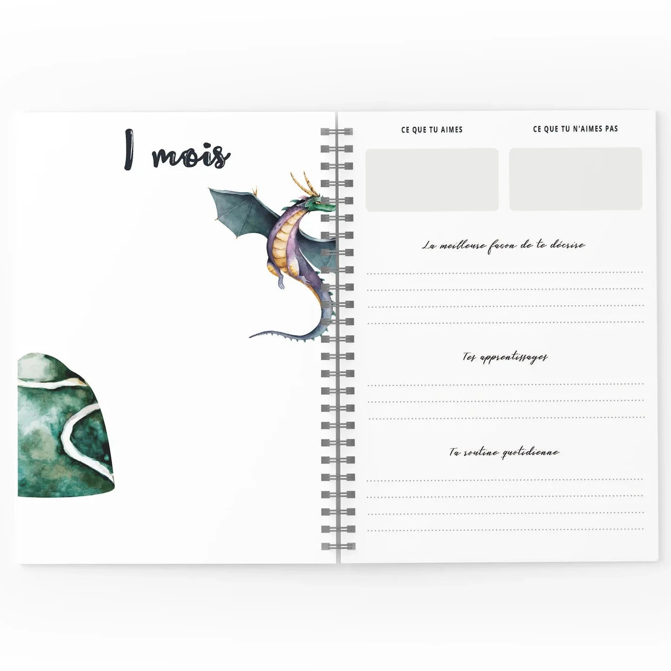 Mon journal de Bébé - Dragons