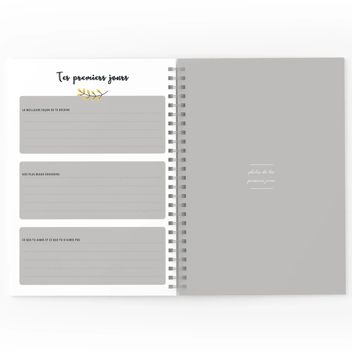 Mon journal de Bébé - Forestier