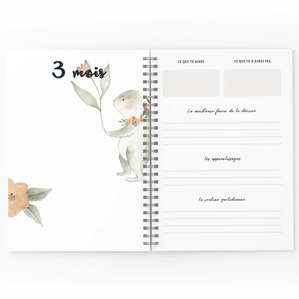 Mon journal de Bébé - Lapins fleuris