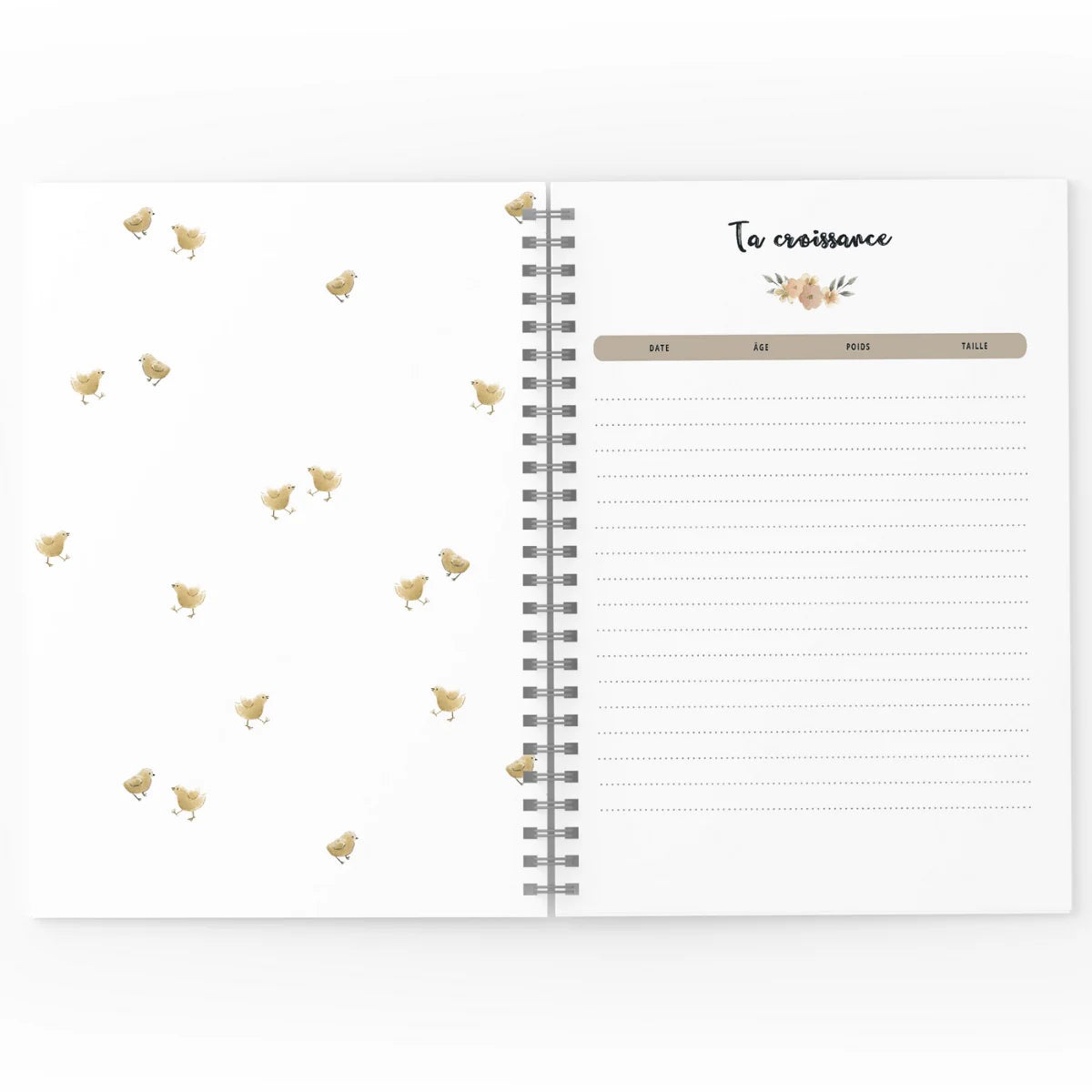 Mon journal de Bébé - Lapins fleuris