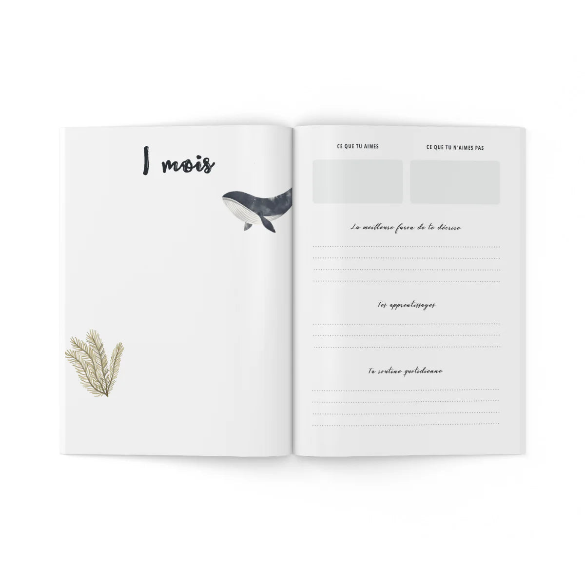 Mon journal de Bébé - Mer et côtes