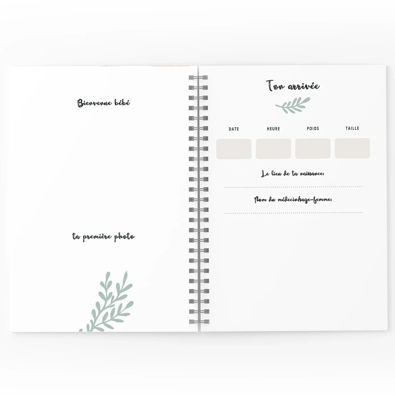 Mon journal de Bébé - Printemps