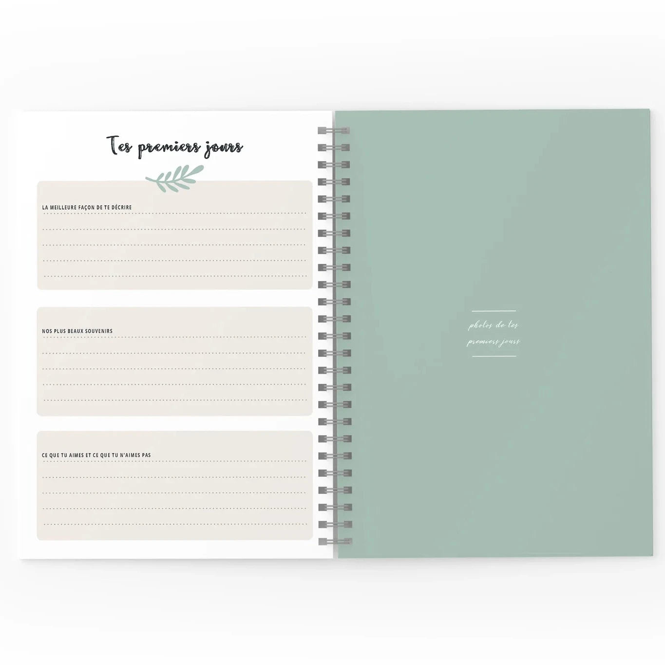 Mon journal de Bébé - Printemps