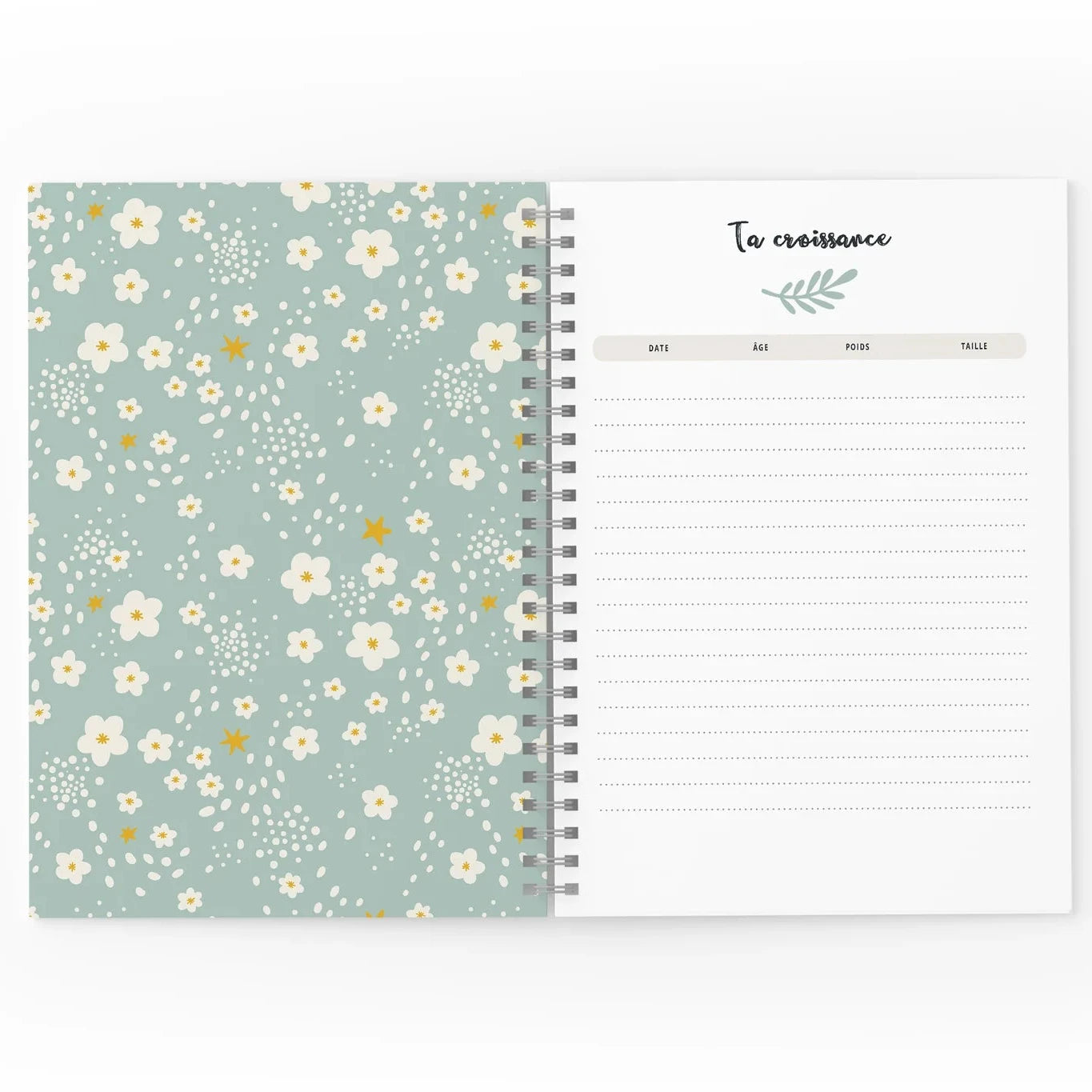 Mon journal de Bébé - Printemps