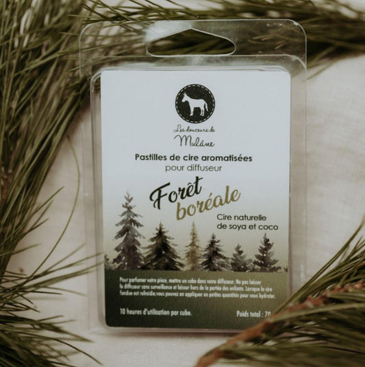 Pastille de cire - Forêt Boréale